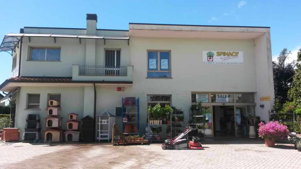 La sede Spinacè a Faè di Oderzo