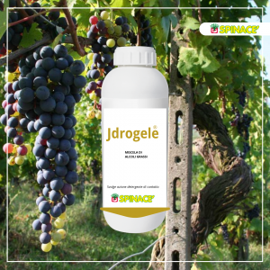 prodotti-agricoltura-1