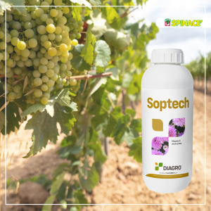 soptech