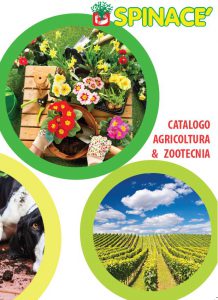 copertina-catalogo