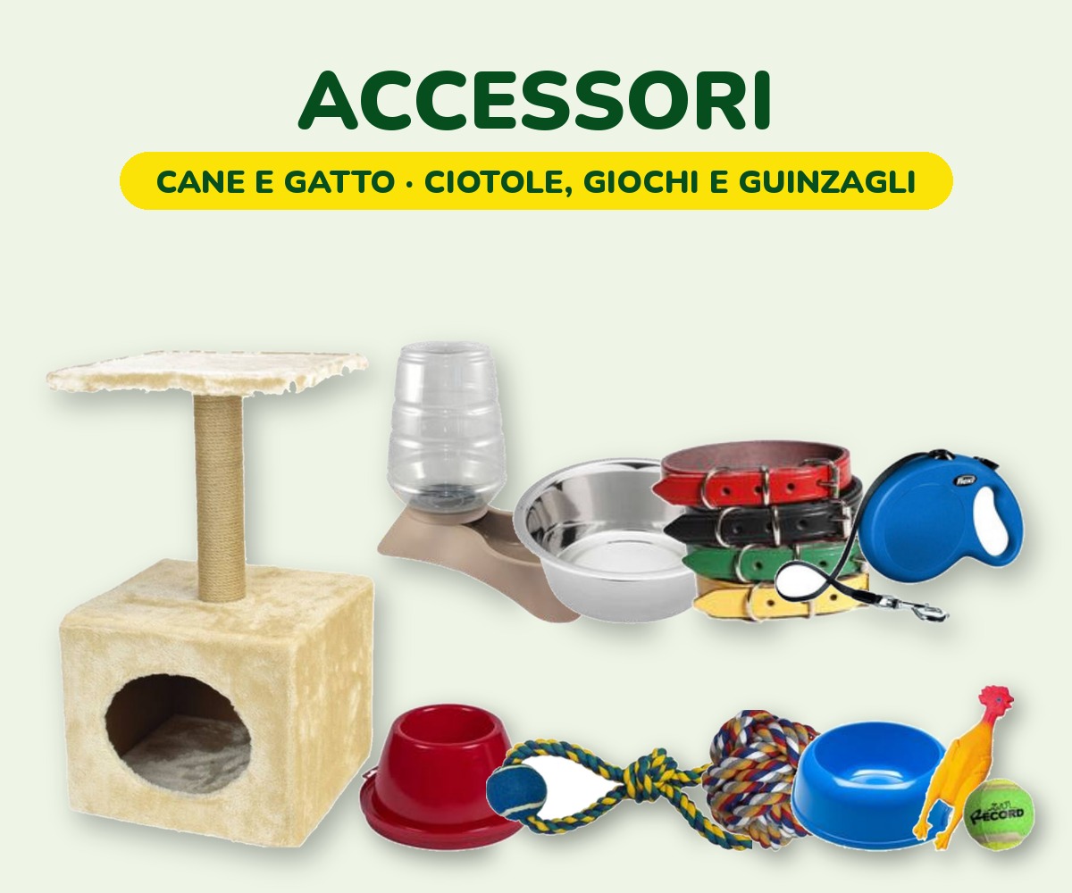 foto_accessori