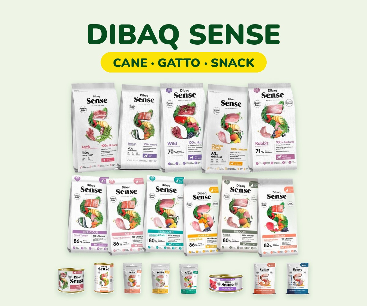 foto_dibaq_sense_gamma