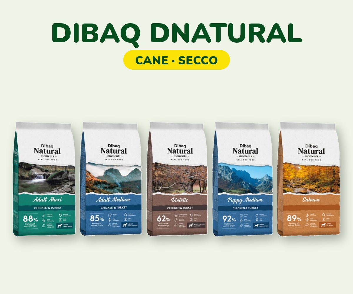 foto_dnatural_gamma