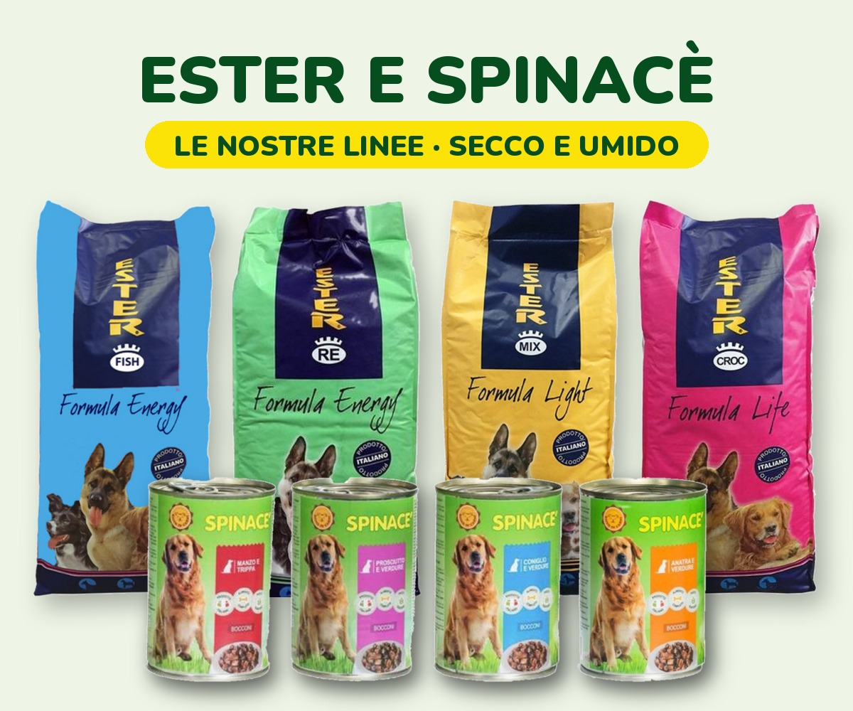 foto_ester_spinace