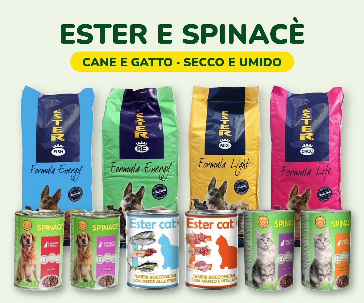 foto_ester_spinace_cane_gatto