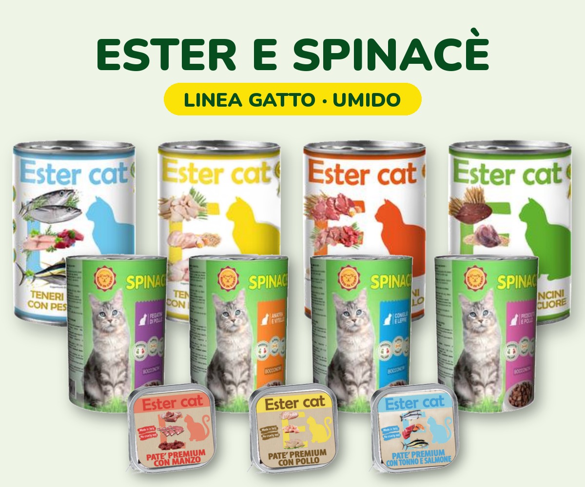 foto_ester_spinace_gatto