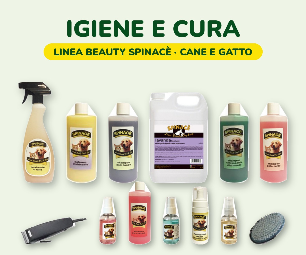 foto_igiene_cura