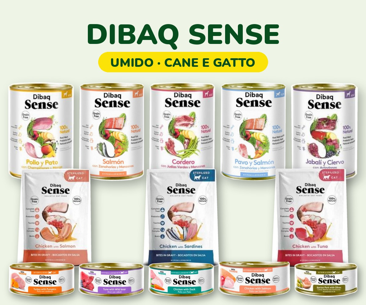 foto_sense_umido