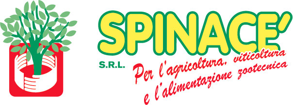 logo spinacè oderzo