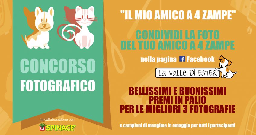 concorso_animali