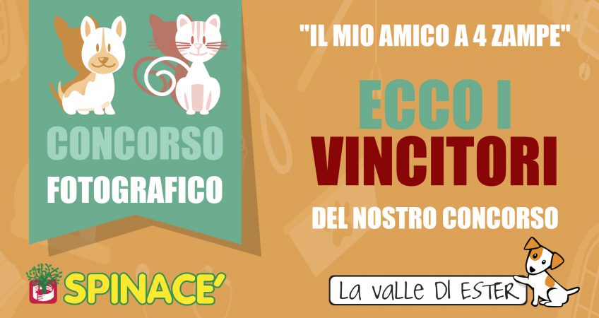 VINCITORI