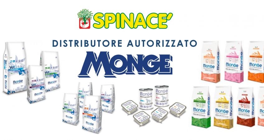 venditore MONGE treviso venezia