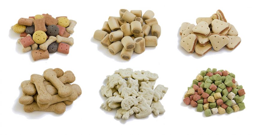 biscotti variegati per cane
