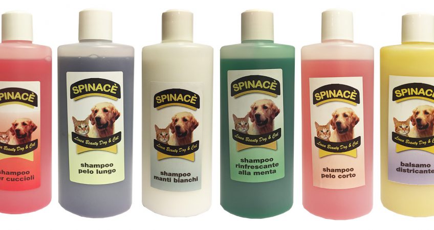 shampoo