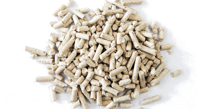 pellets-bianco-abete