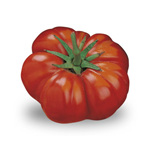 pomodoro_costoluto