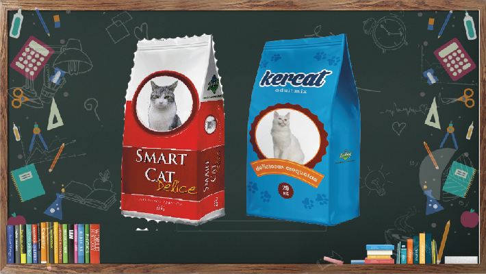 lavagna-smart-cat-x-sito