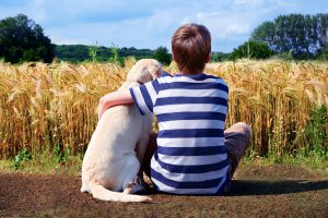 Junge mit Labrador Retriever vor Getreidefeld