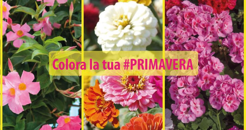 primavera-la-valle