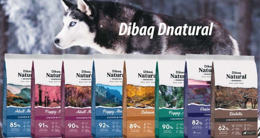 mail-dnatural_page-0001-1