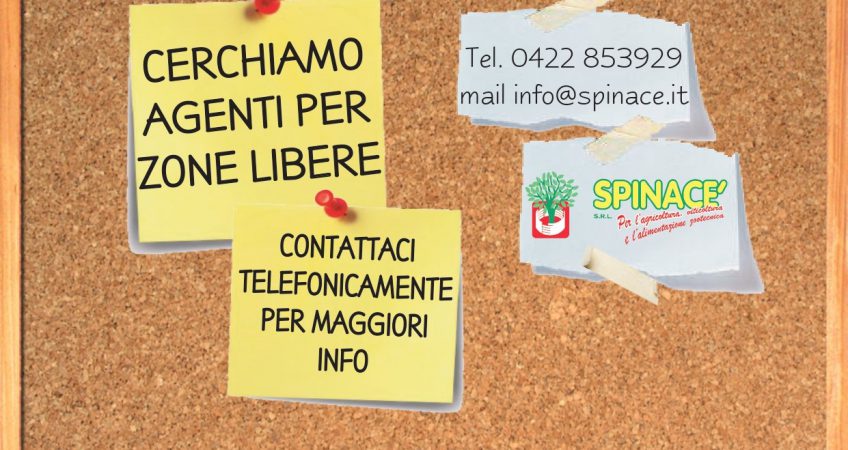 copertine-sito-valledi_page-0001-14