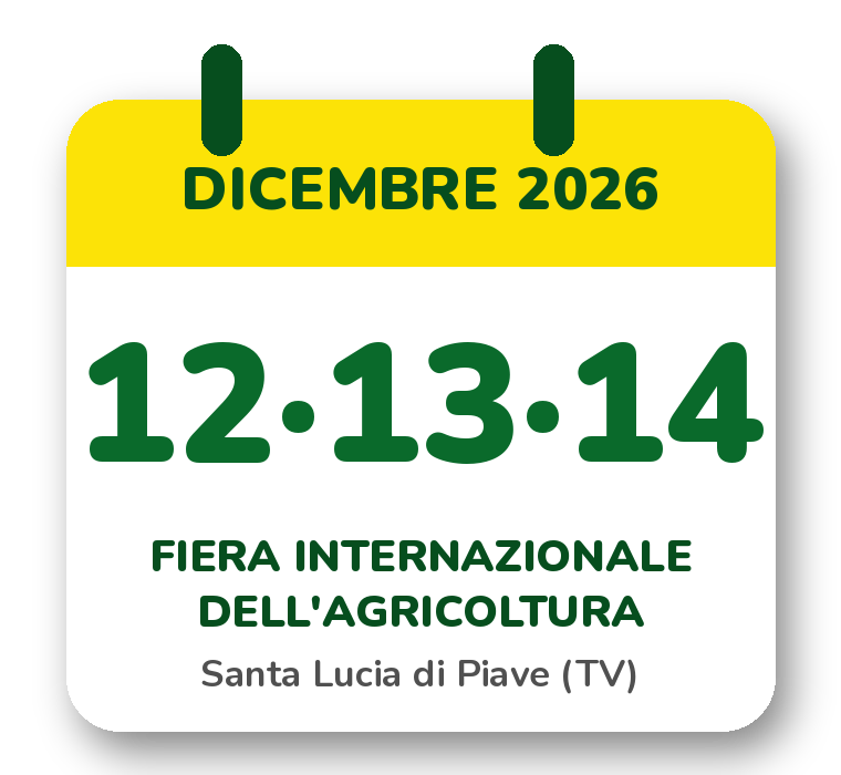 Fiera di Santa Lucia di Piave