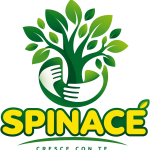 spinace_logo_trasparente