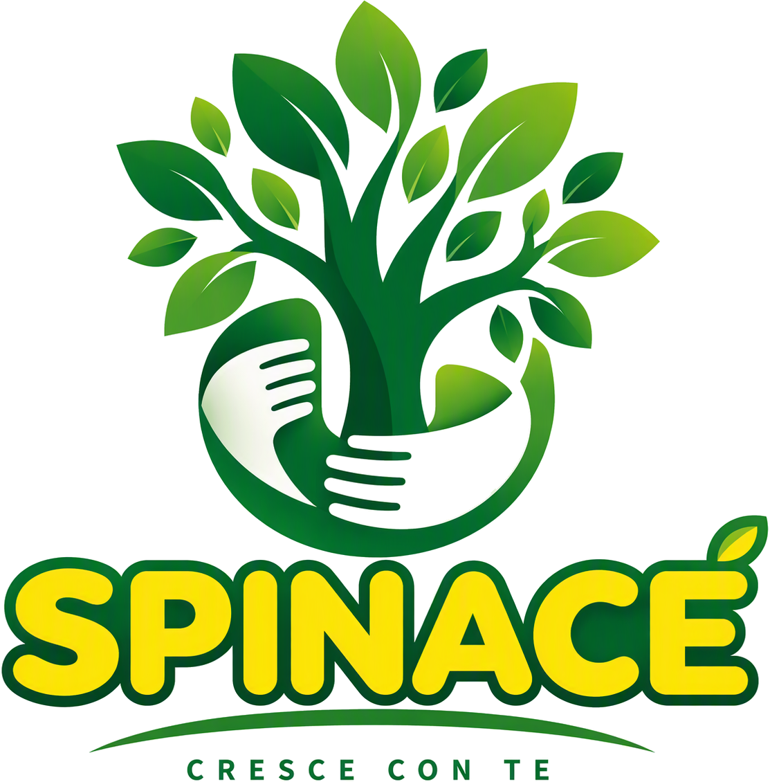 Spinacè srl